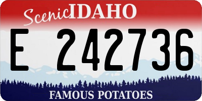 ID license plate E242736