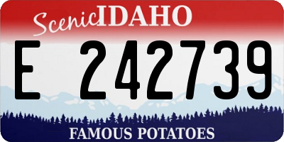 ID license plate E242739