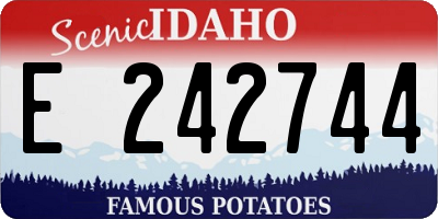 ID license plate E242744