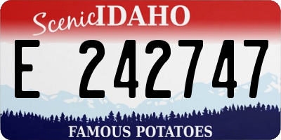 ID license plate E242747