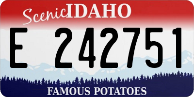 ID license plate E242751