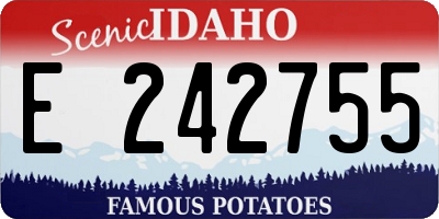 ID license plate E242755