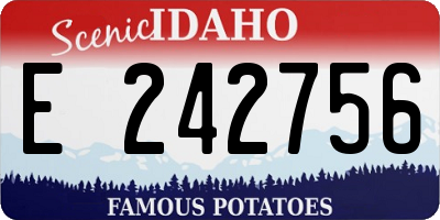 ID license plate E242756