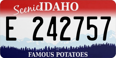 ID license plate E242757