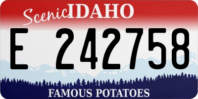 ID license plate E242758