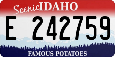 ID license plate E242759