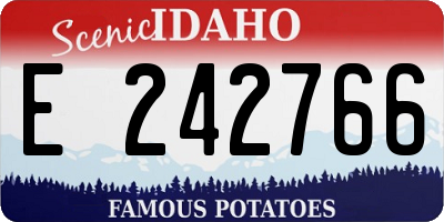 ID license plate E242766