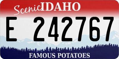 ID license plate E242767