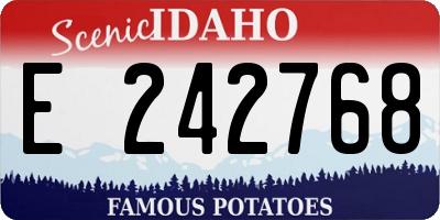 ID license plate E242768