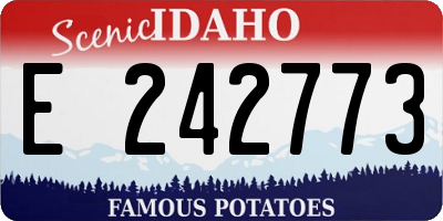 ID license plate E242773