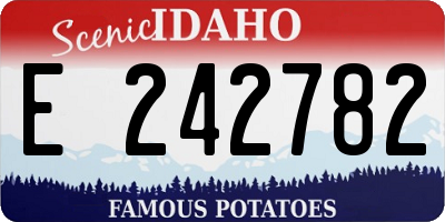 ID license plate E242782