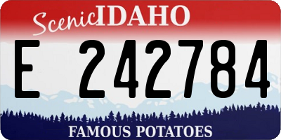ID license plate E242784