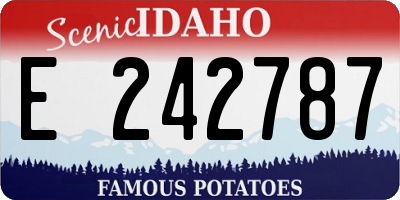 ID license plate E242787