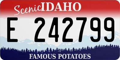 ID license plate E242799