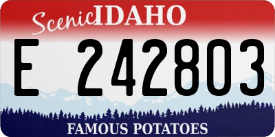 ID license plate E242803
