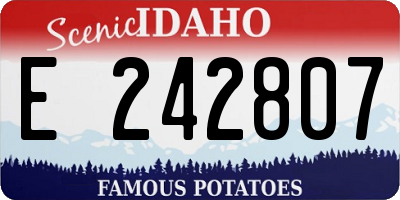 ID license plate E242807