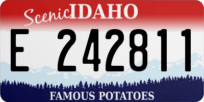 ID license plate E242811