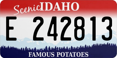 ID license plate E242813
