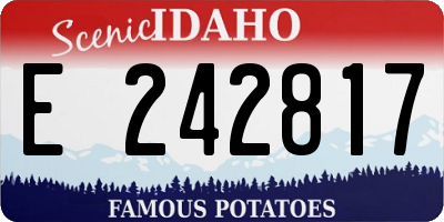 ID license plate E242817