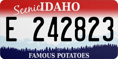 ID license plate E242823