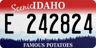 ID license plate E242824