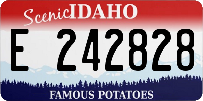 ID license plate E242828