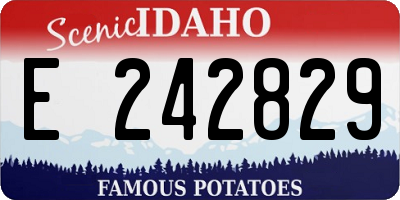 ID license plate E242829