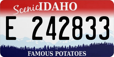 ID license plate E242833