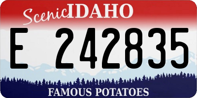 ID license plate E242835