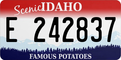 ID license plate E242837