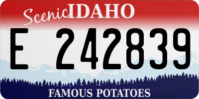 ID license plate E242839