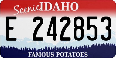 ID license plate E242853
