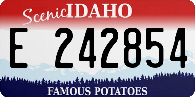 ID license plate E242854