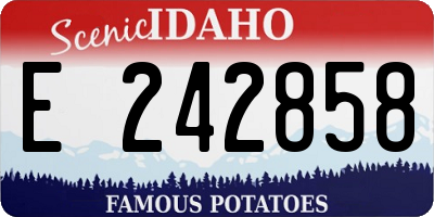 ID license plate E242858