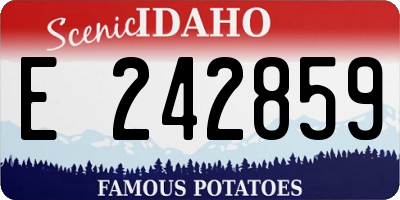 ID license plate E242859