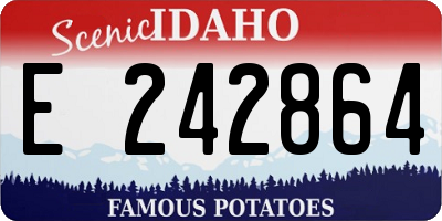 ID license plate E242864