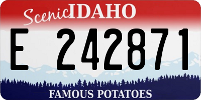 ID license plate E242871