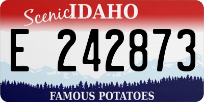 ID license plate E242873