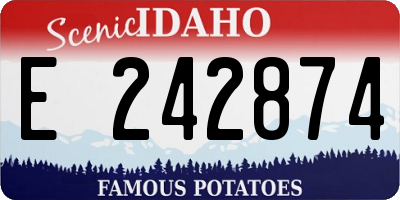 ID license plate E242874