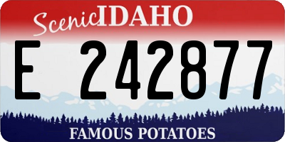 ID license plate E242877