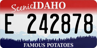 ID license plate E242878
