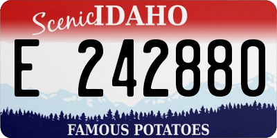 ID license plate E242880
