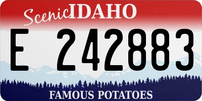 ID license plate E242883