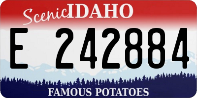 ID license plate E242884