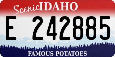 ID license plate E242885