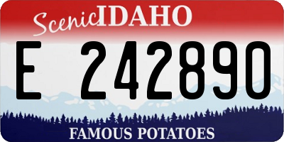 ID license plate E242890