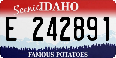 ID license plate E242891