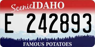 ID license plate E242893
