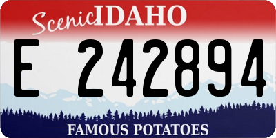 ID license plate E242894