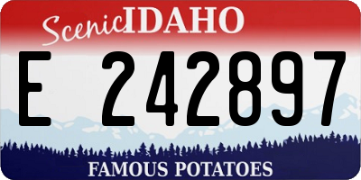 ID license plate E242897